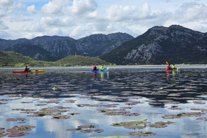 Lake Skadar unique day-long kayaking tour from Budva