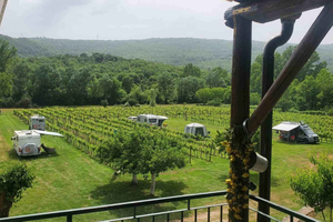 Podgorica: Panoramic Wine Tasting & Snack