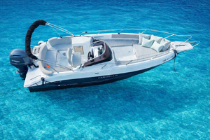 Tivat: Speedboat Tour with Dolphin Watching and Tubing