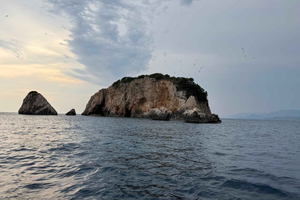 Ulcinj: Adriatic Sea Boat Tour with Fish Picnic