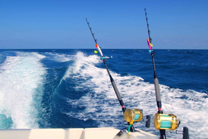 Ulcinj: Fisketur og bådtur