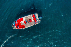 Ulcinj: Private Schnellboot-Tour mit Schwimmen