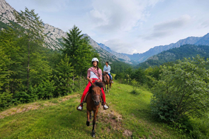 Žabljak: passeggiata a cavallo panoramica sul Durmitor