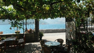 Cafe Armonia