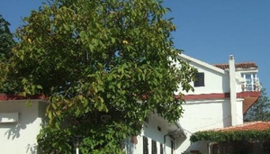 Hotel Bokeljski Dvori