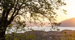 Kapetanovic Land