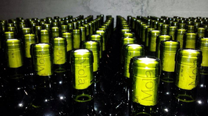 Mola Wines