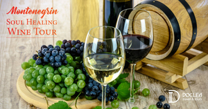 Montenegrin Soul-Healing Wine Tour