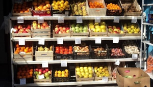 Natura Shop