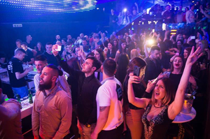 Nightclub Beagle