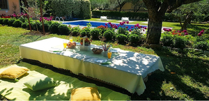 Petkovic Garden
