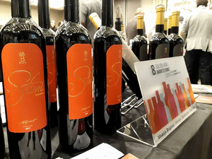 Winery Brajovic