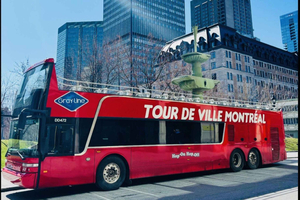 Guided Double-Decker Bus Tour