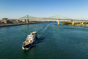 Guided River Cruise and Hop-On Hop-Off Bus