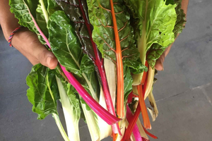 Jean Talon Market Walking Tour x Michelin-Trained Chef