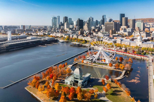 Montreal Movies & TV Series Private Guided Walking Tour