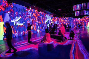 Montreal: OASIS Immersion Inngangsbillett
