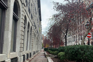 Montreal Old Port Walking Tour with Pastry Tasting x Scholar
