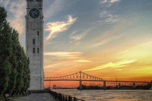 Montreal : Tour a pie por el arte callejero con guía