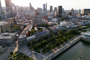 Old Walking Tour Certified Guide (8 people max)