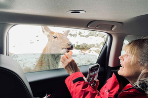 Omega Park Private Tour with Pickup & Guide