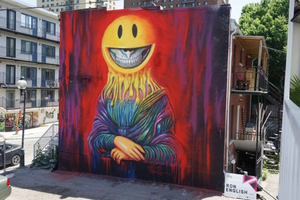 Privat omvisning i gatekunst i Montreal