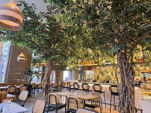 Pigeon Café & Bar