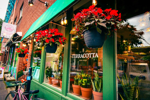 Terracotta Restaurant