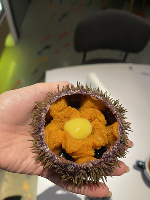 Bistro Ryba Mechty