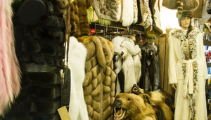 Expedition store