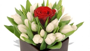 Interflora