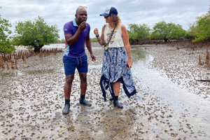 Barra: Mangrove Walking and Birdwatching Tour