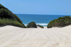 From Marloth Park: 3-Day Mozambique Coastal Experience