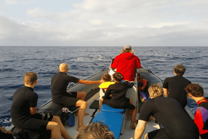 Maputo: Tour para nadar con delfines en Ponta do Ouro