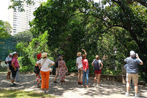 Wandeltour door het stadscentrum van Maputo