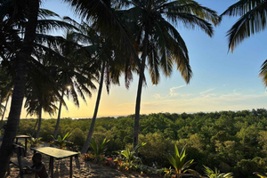 Tofo Village Tour & Cultural Experience