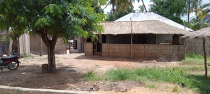 Bar da Mana Zaza