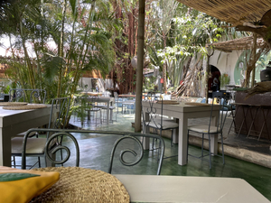Botanica