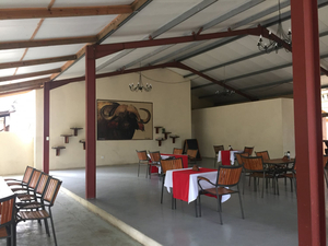 Buffalo Camp