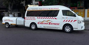 Cheetah Express