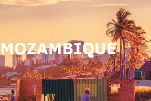 The Ultimate Mozambique Safari: Witness Wildlife in their Natural Habitat