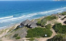 Golden Shores