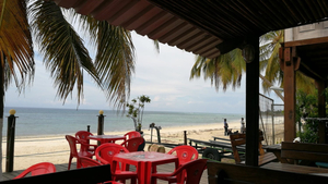 Pemba Dolphin