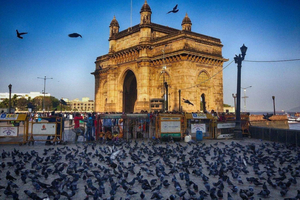 City Tour, Elephanta Caves, Dharavi Slum W/Options