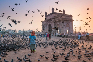 Mumbai Marvels Tour | 4 timers privat byrundvisning med guide
