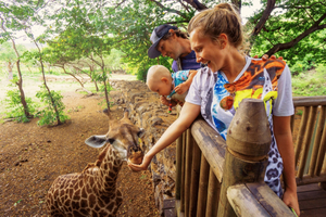 Mumbai til Golden Triangle og Tiger Safari – 7-dagers India-tur
