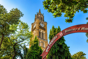 Private City Sightseeing Tour