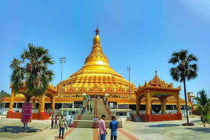 Private Global Pagoda Tour in Air-Conditioned Car