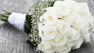 Ajanta Florist