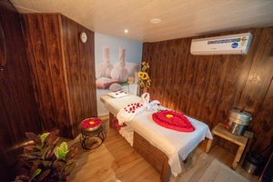 Ayush Wellness Spa